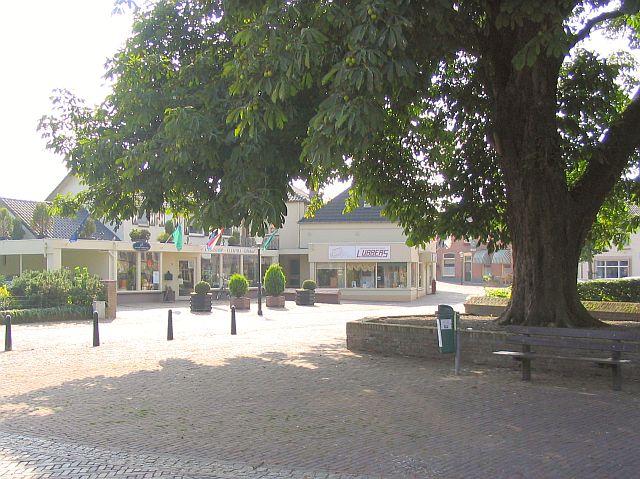 Oude bomen omzomen het hart van Pannerden