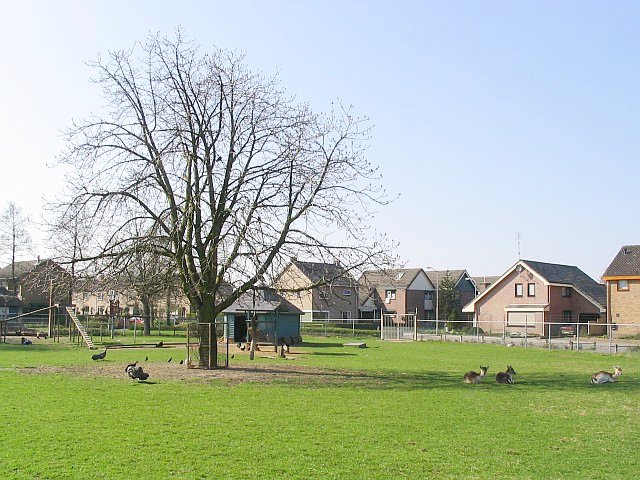 Hertenkamp