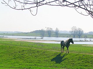 Fort Pannerden