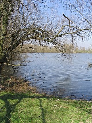 Natuur in de Lobberdense Waard