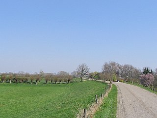 Dijk landschap