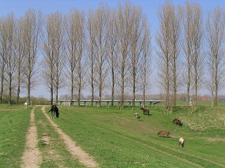 Op de dijk